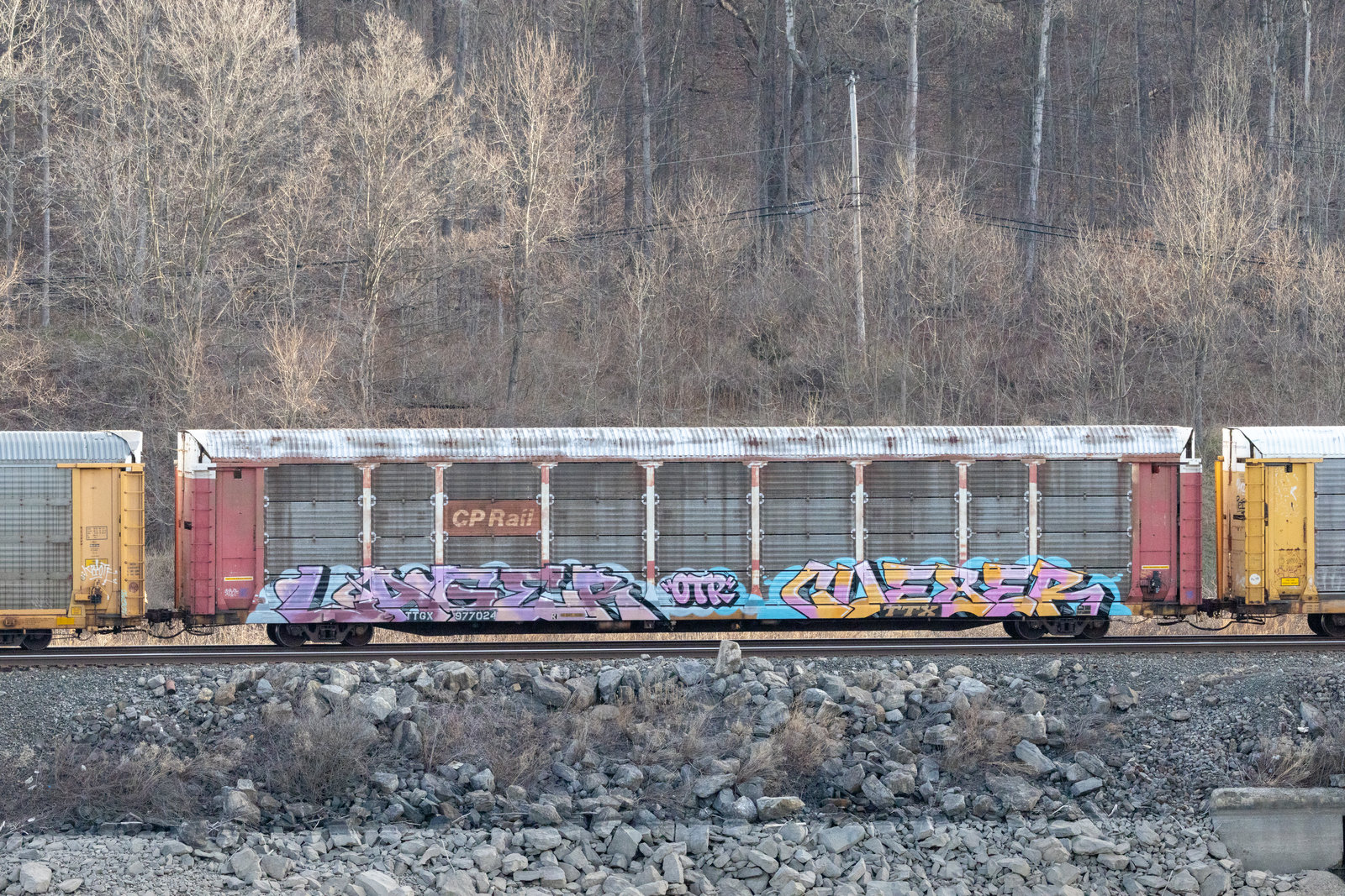 TTGX 977024