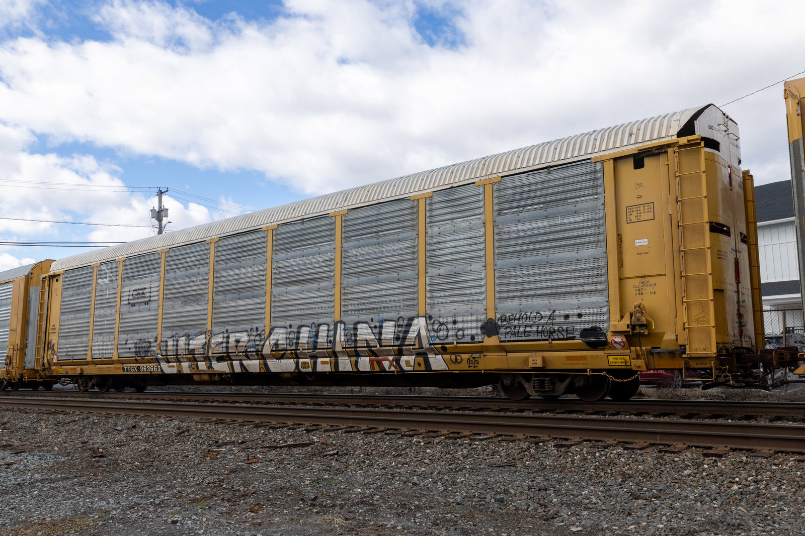 TTGX 963663