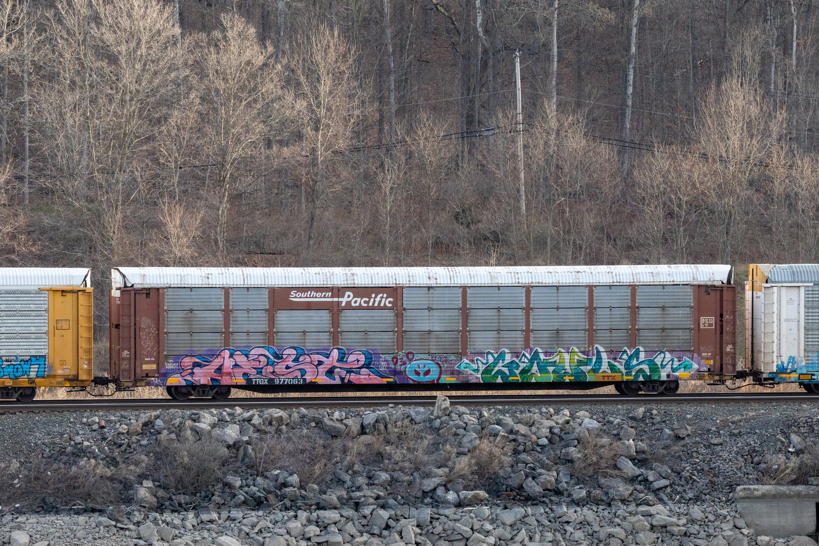 TTGX 977063