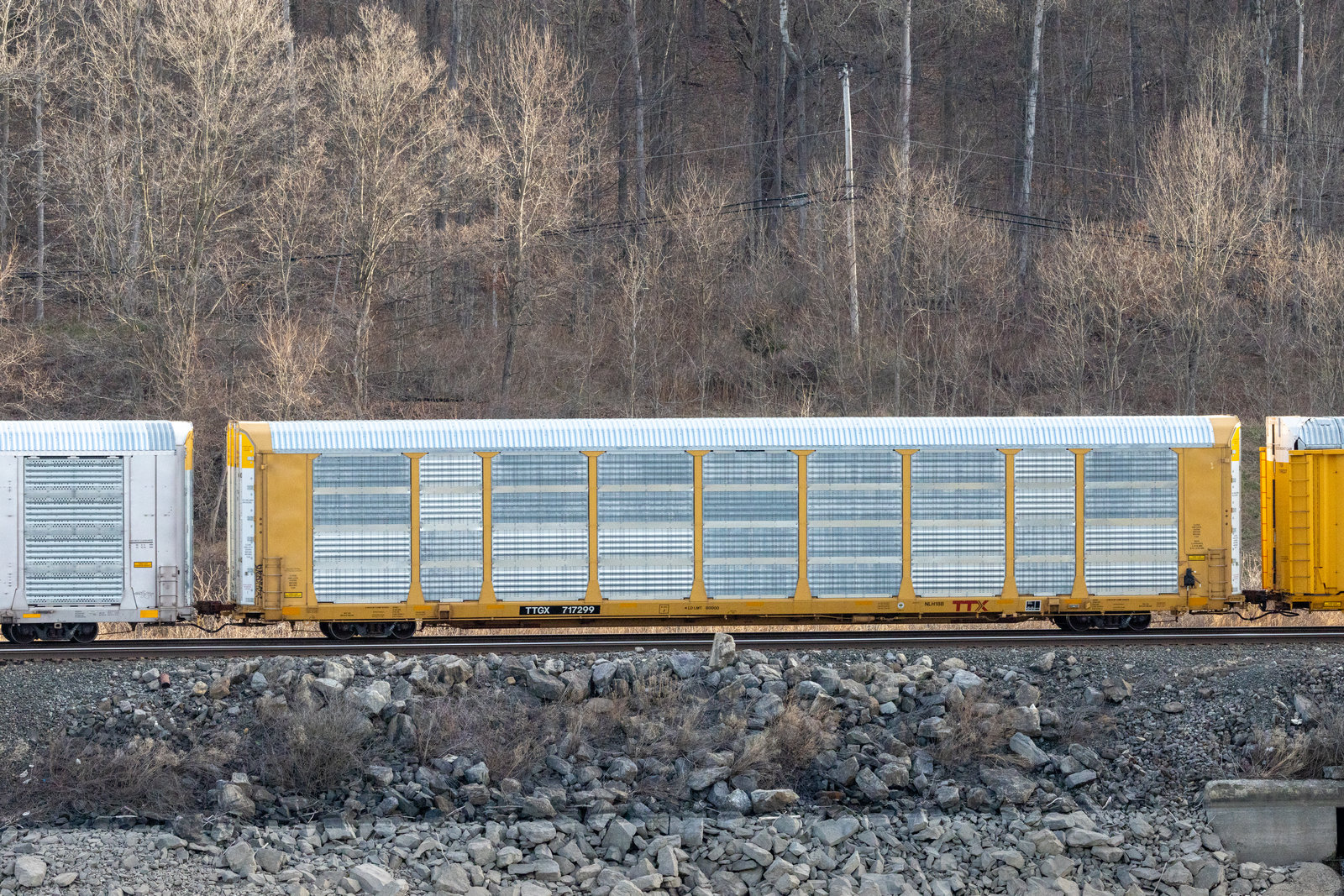 TTGX 717299