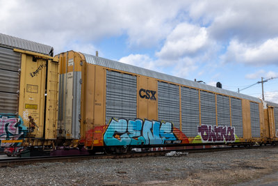 TTGX 699828
