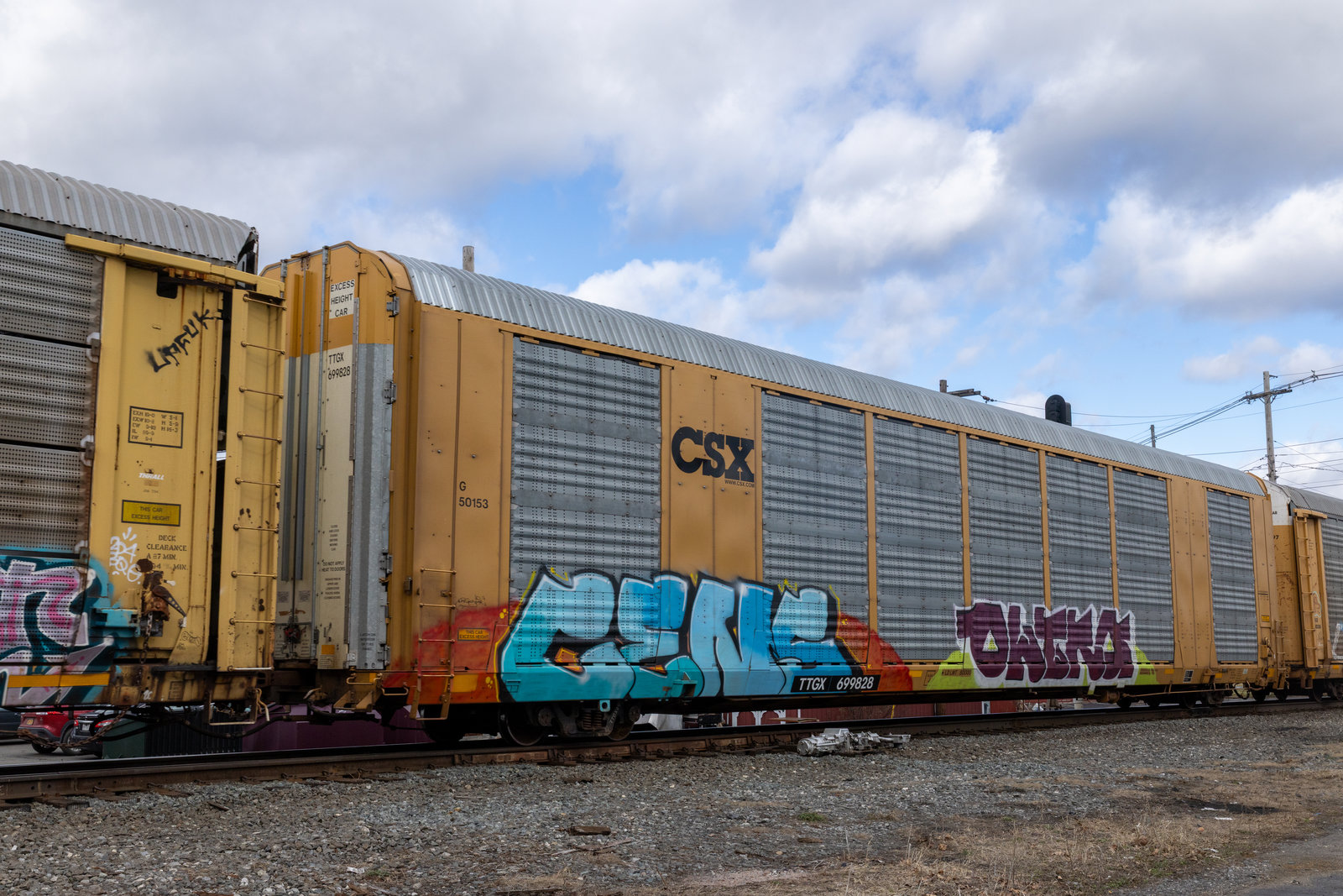 TTGX 699828