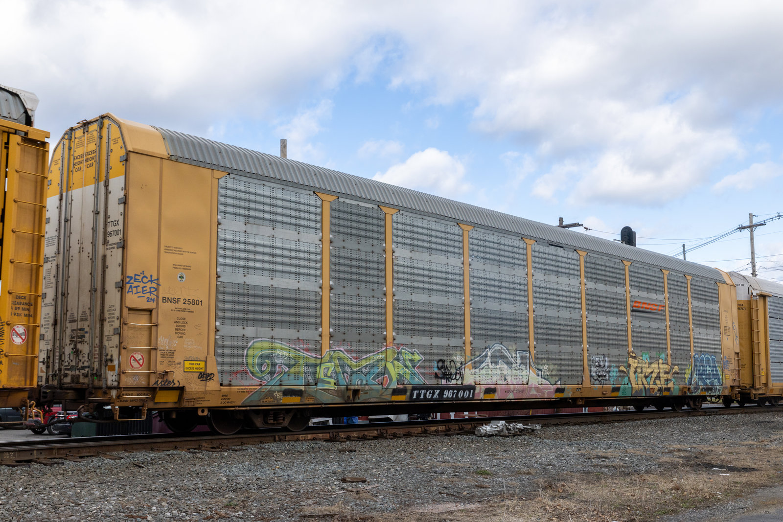 TTGX 967001
