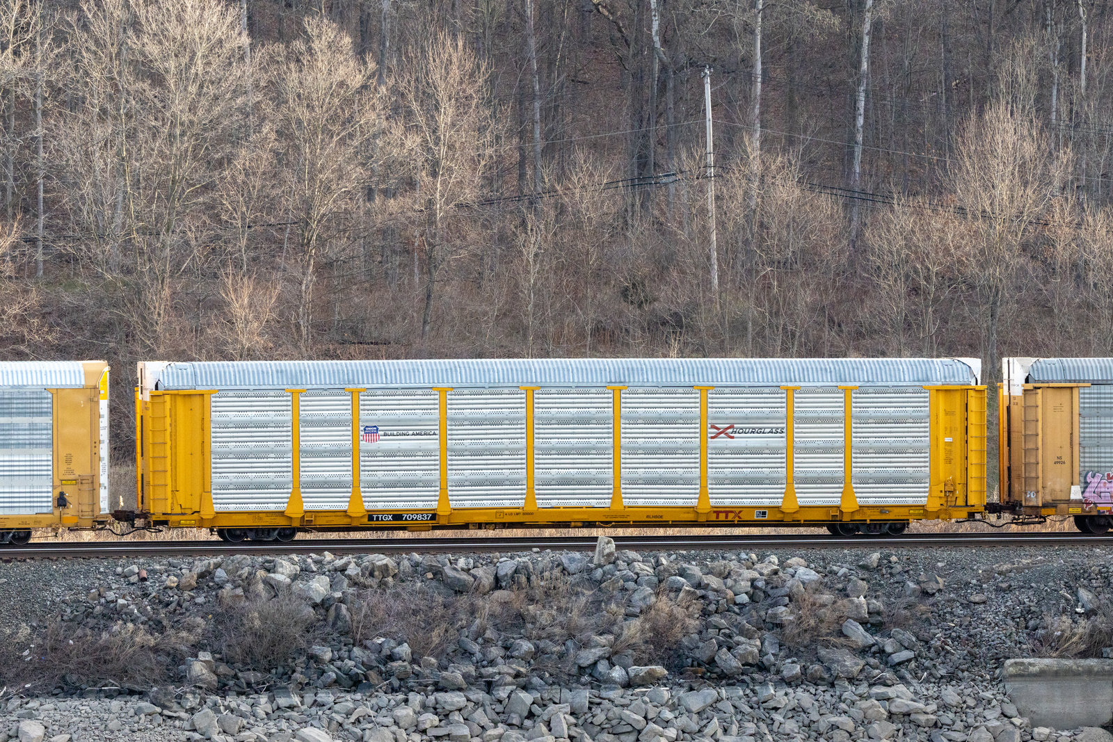 TTGX 709837