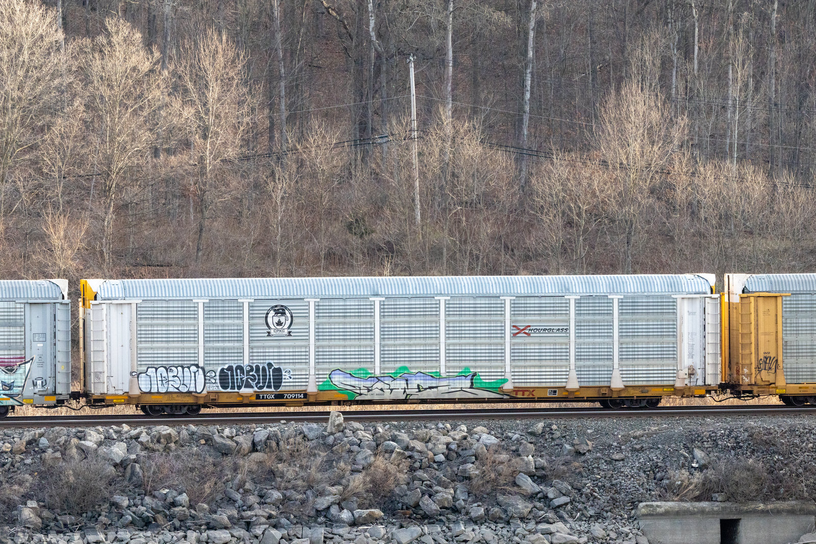 TTGX 709114