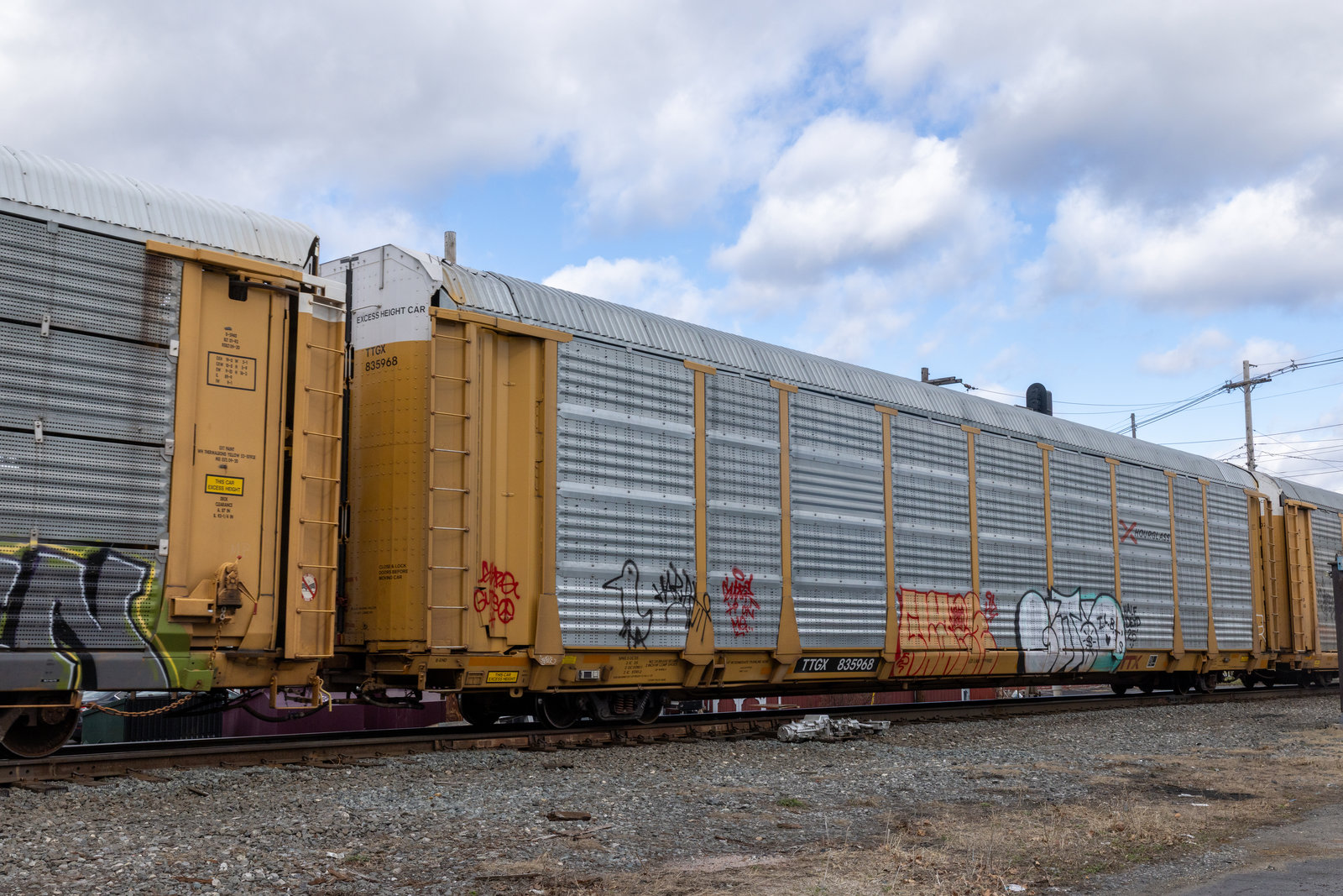 TTGX 835968