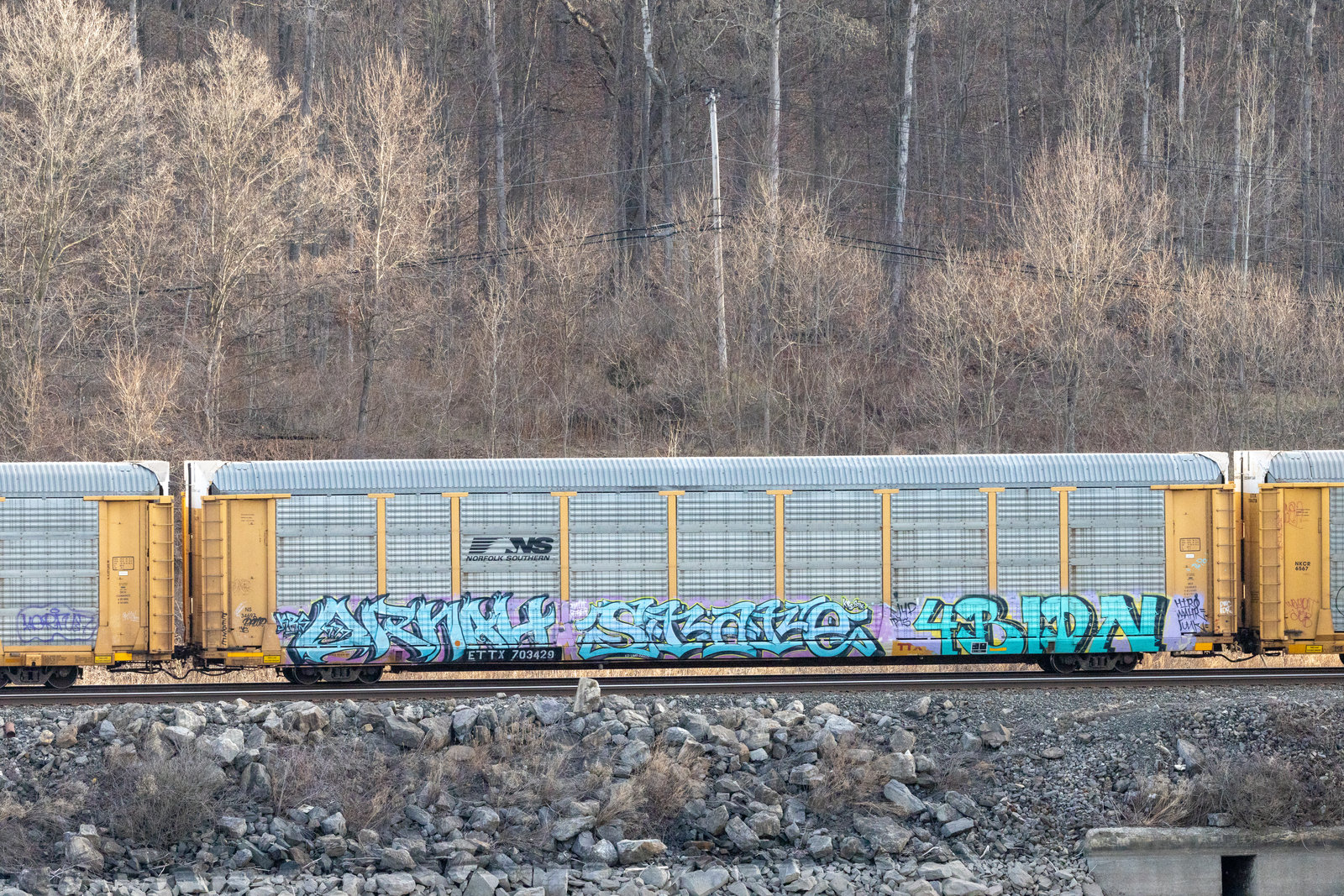 ETTX 703429