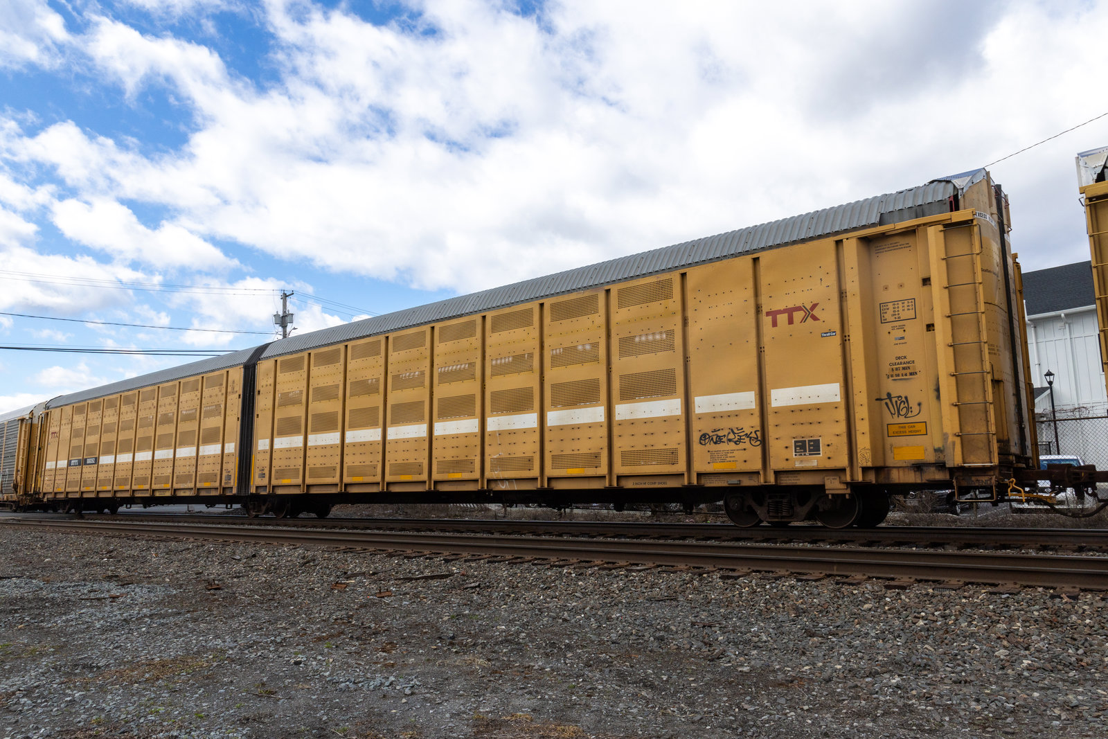 BTTX 880262