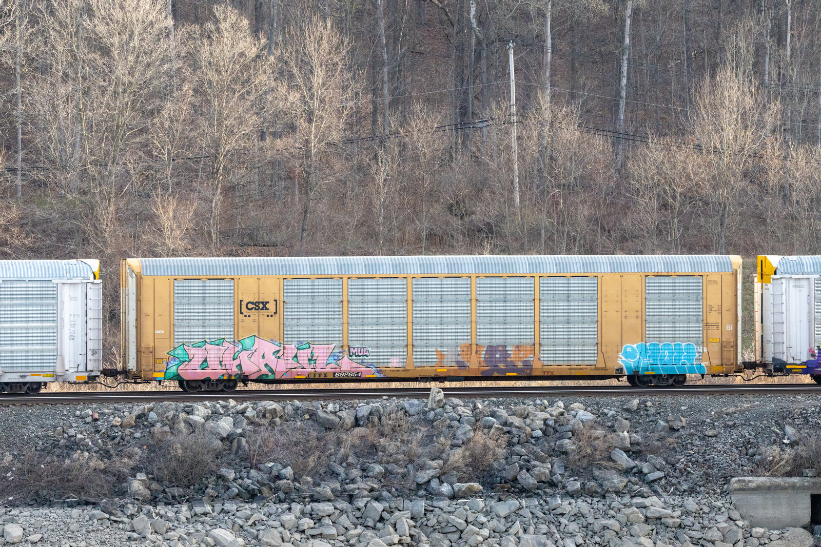 CTTX 692654