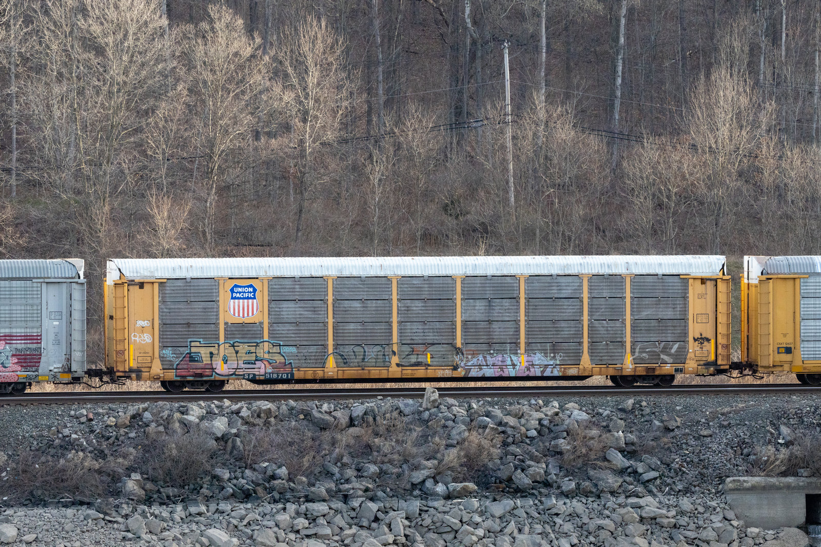 SP 516701