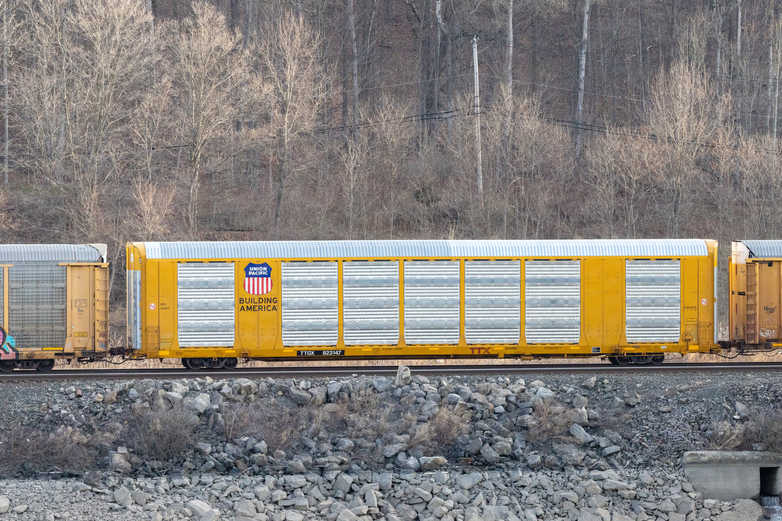 TTGX 823147