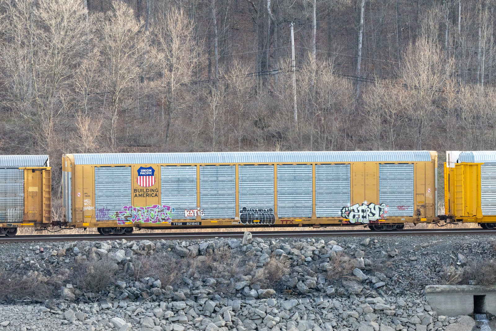 TTGX 821845