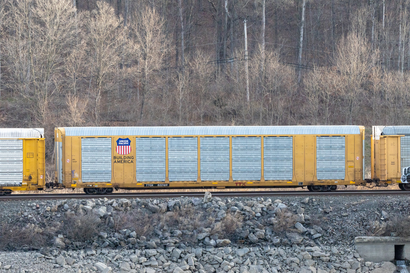 TTGX 822169