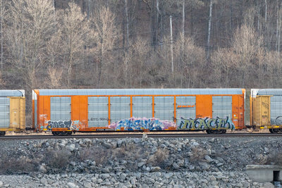 TTGX 694932