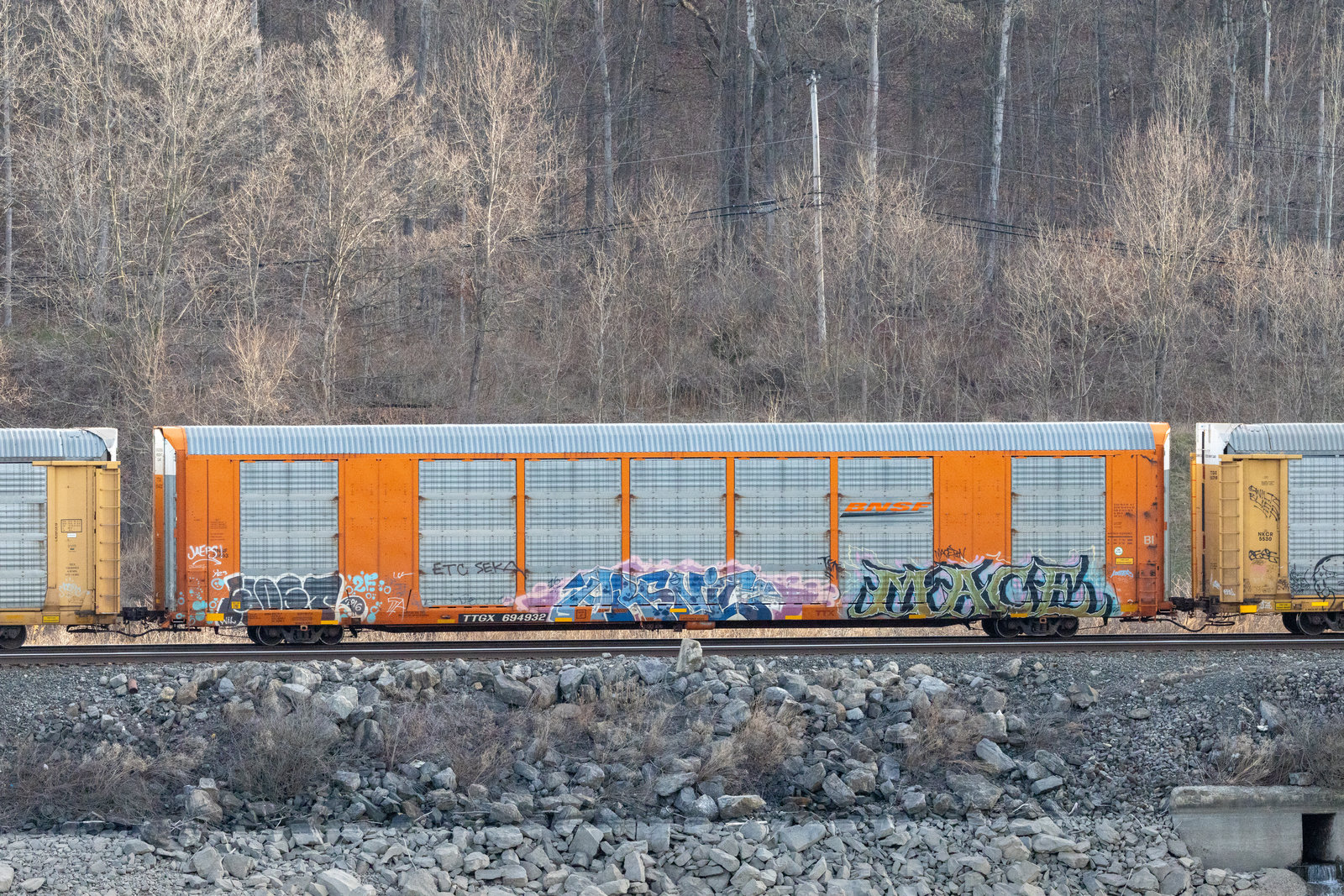 TTGX 694932