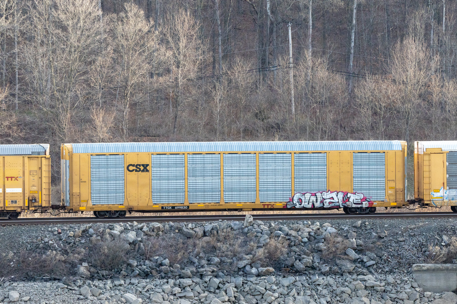 TTGX 699830