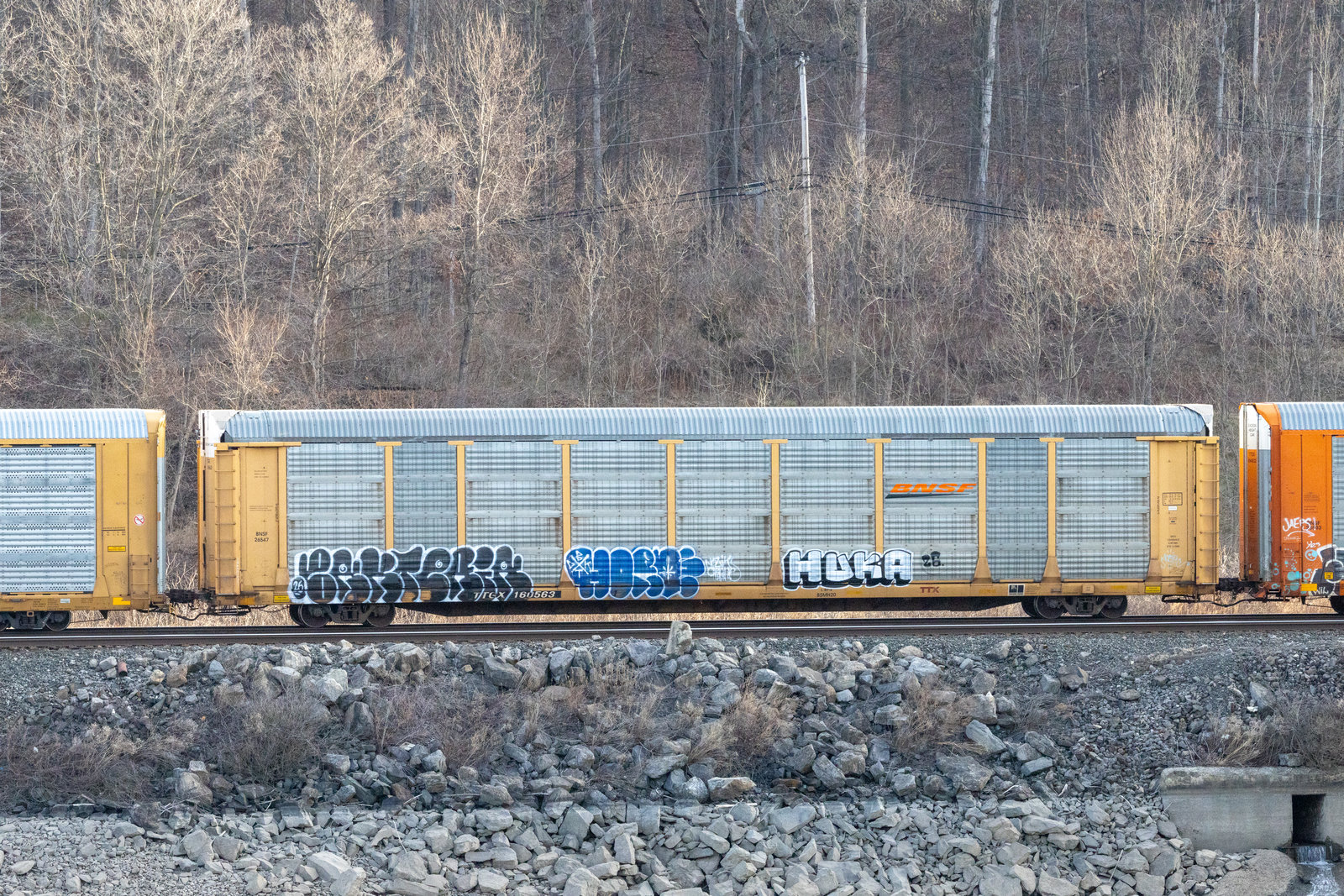 TTGX 160563
