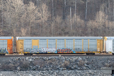 TTGX 158719