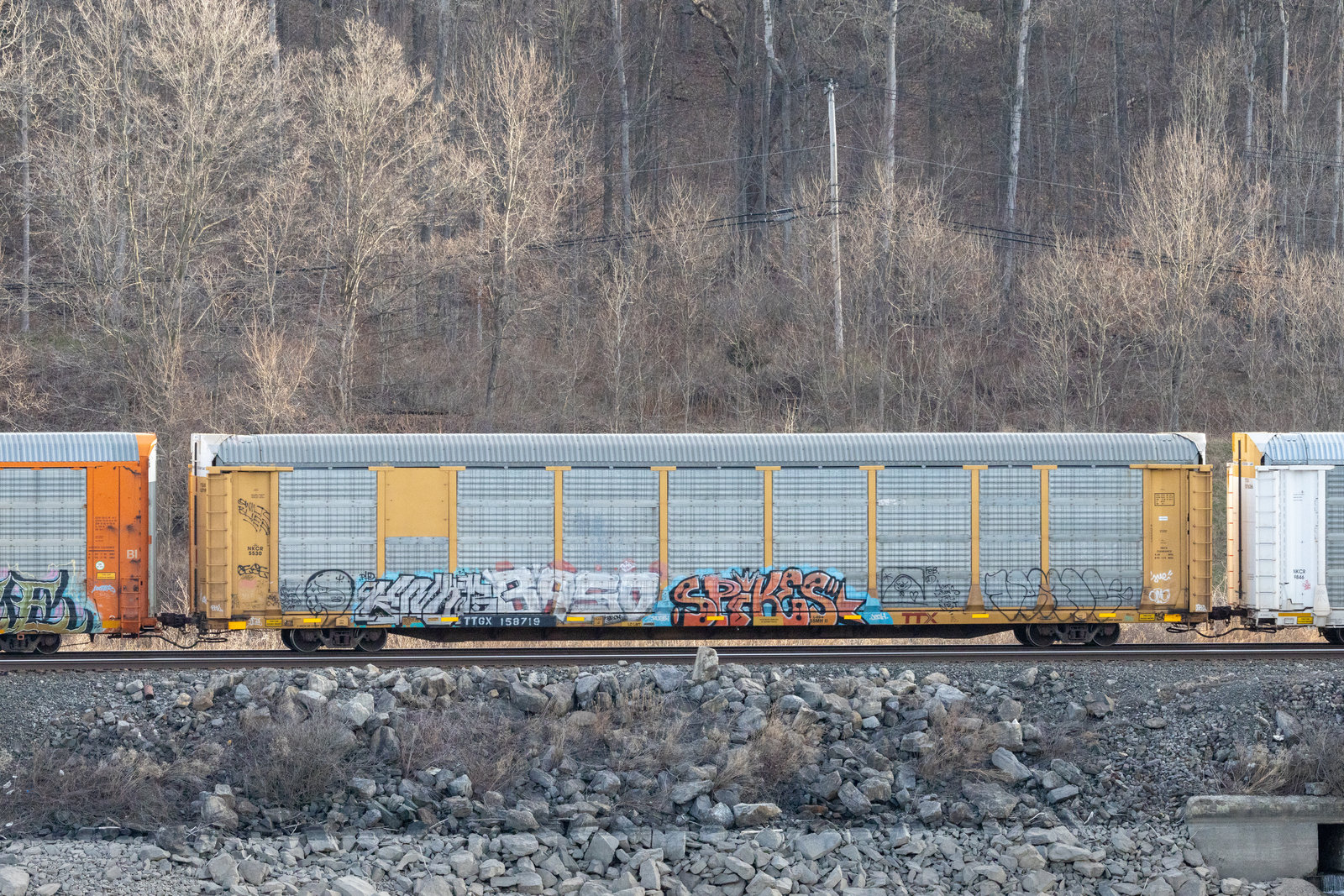 TTGX 158719