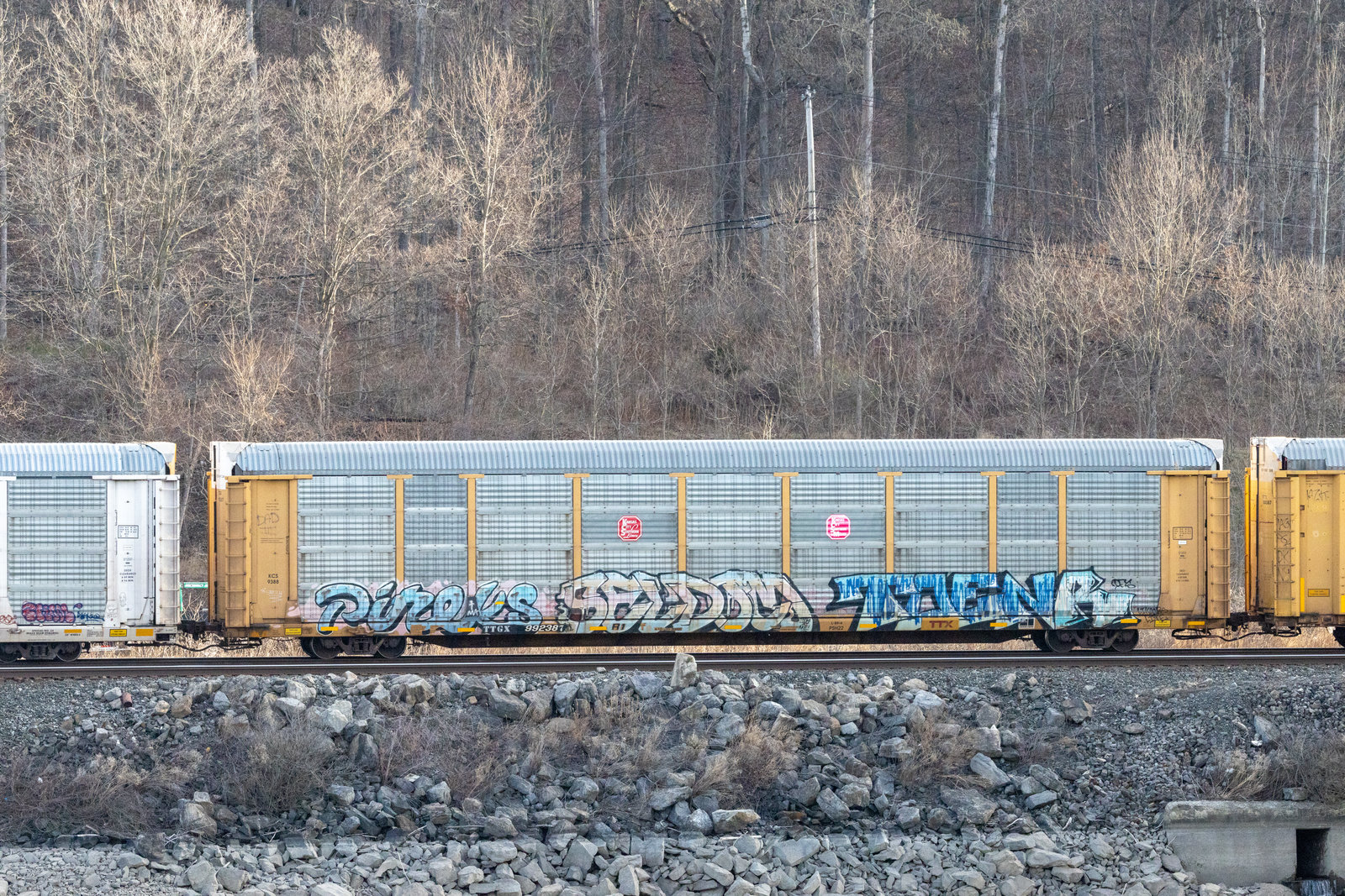 TTGX 992387