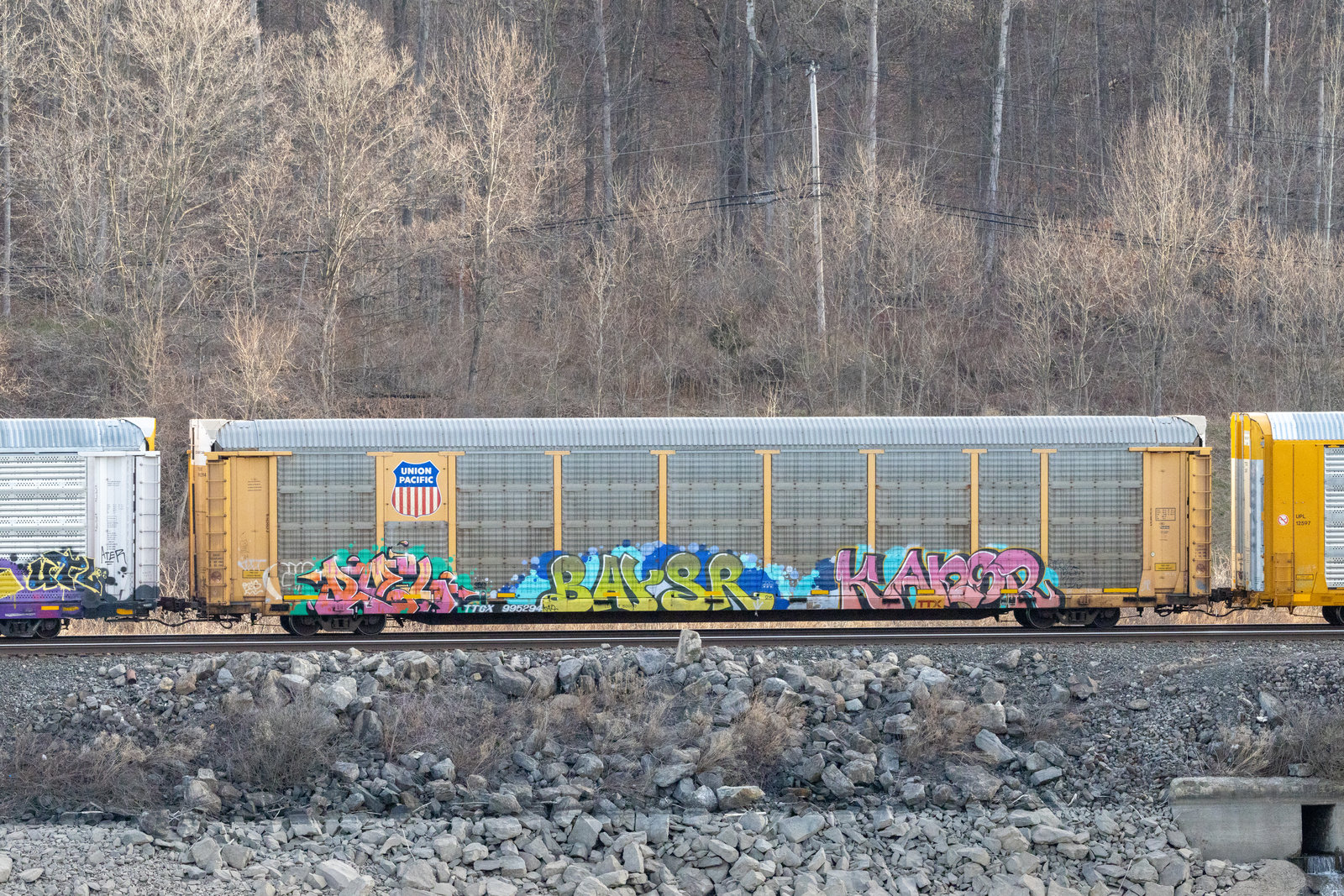 TTGX 995294
