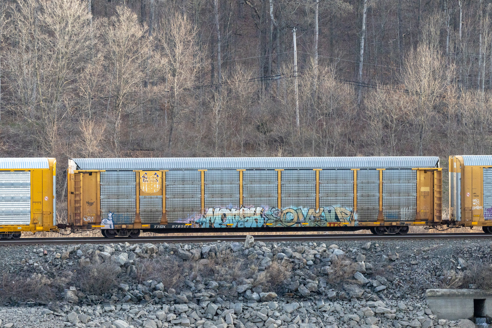 TTGX 978527