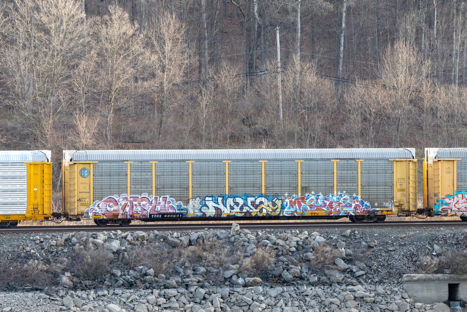 TTGX 986801