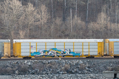 TTGX 854006