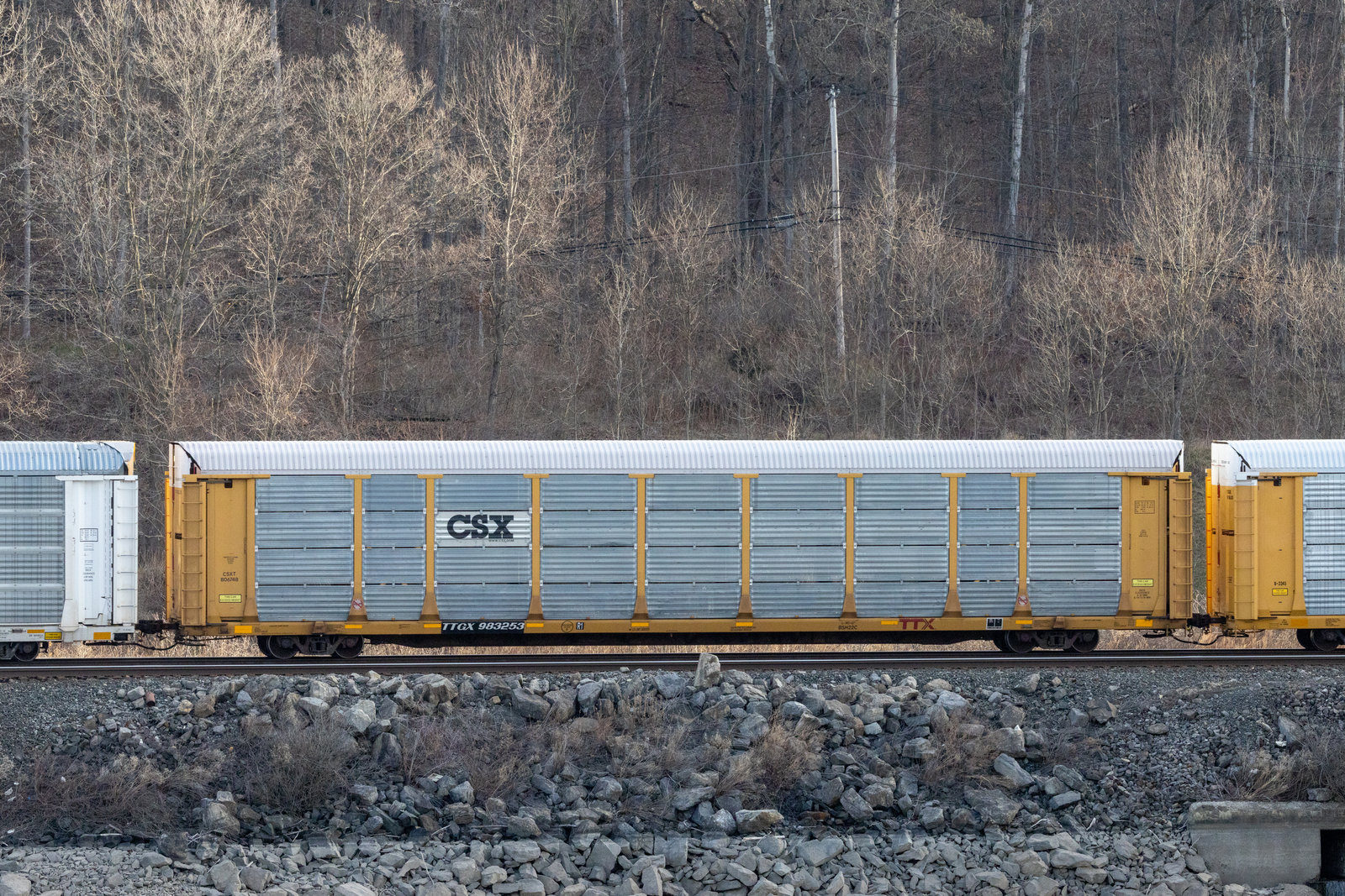 TTGX 983253