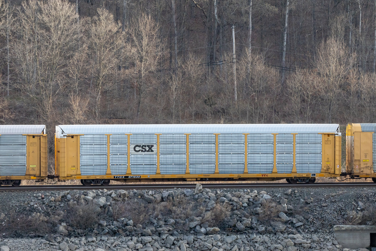 TTGX 971630