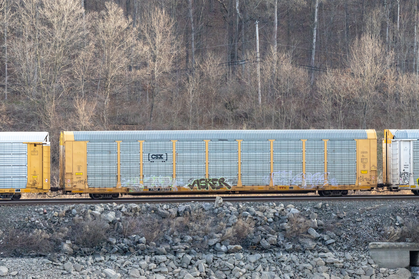 TTGX 715775