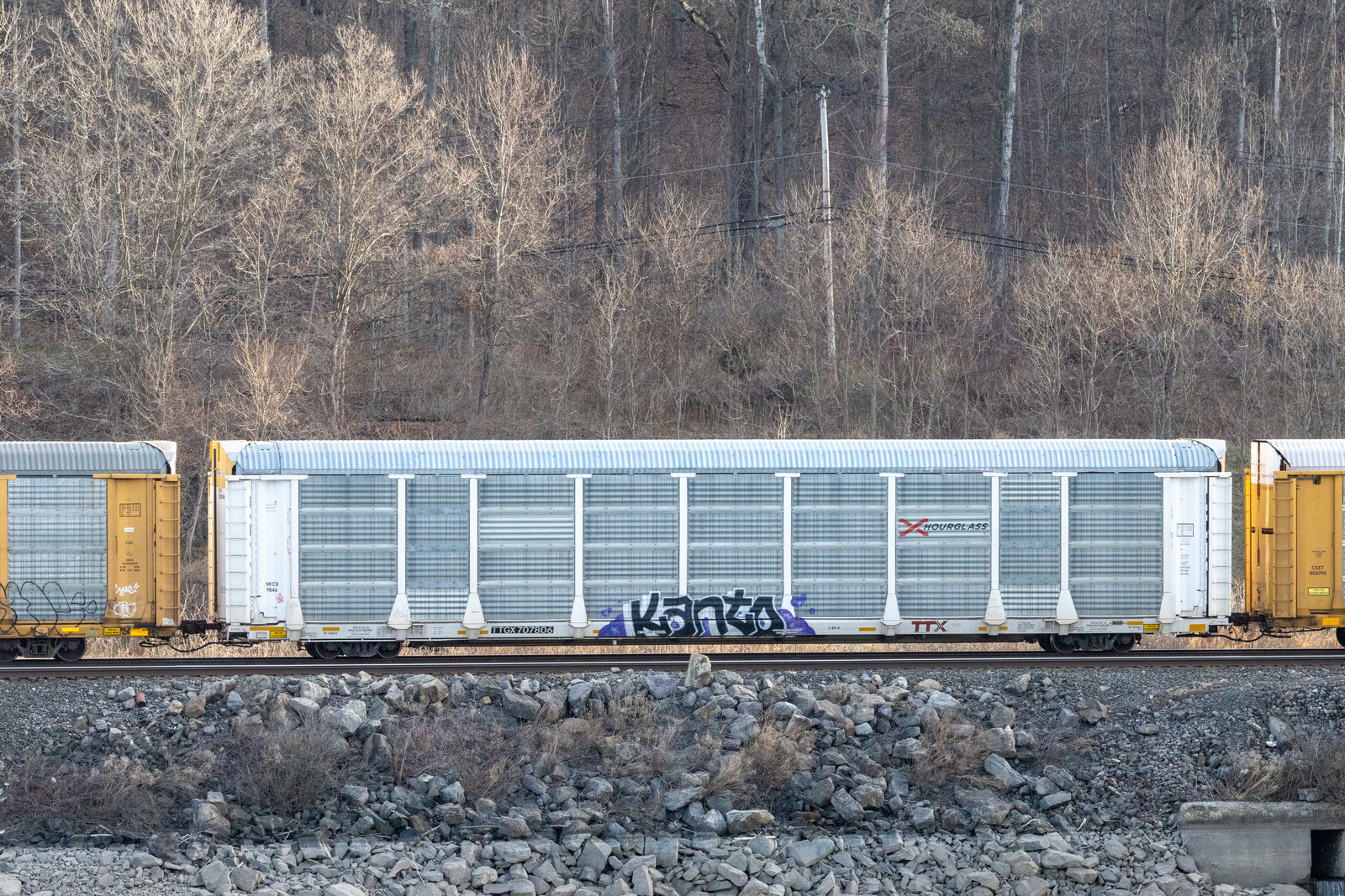 TTGX 707806