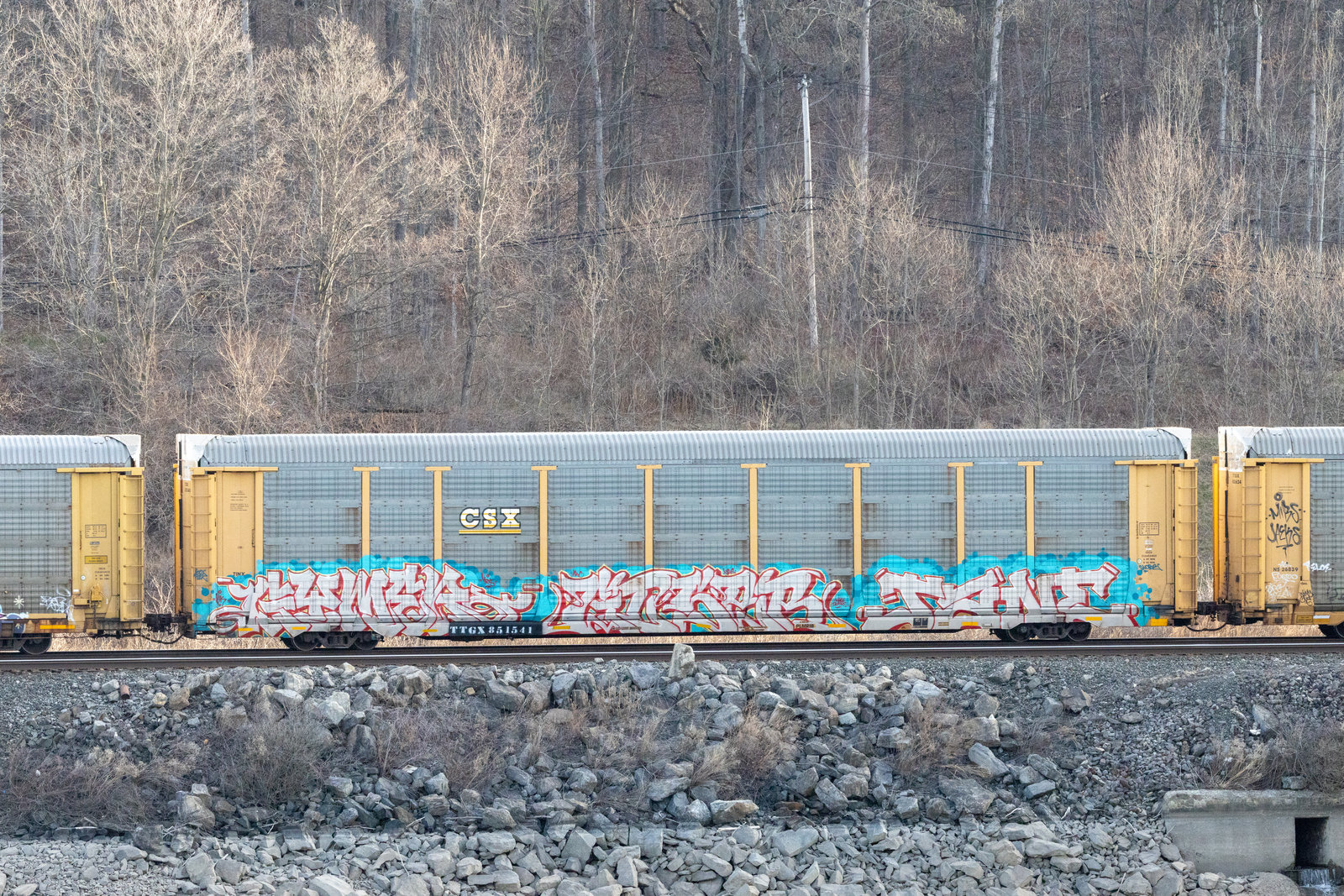 TTGX 851541