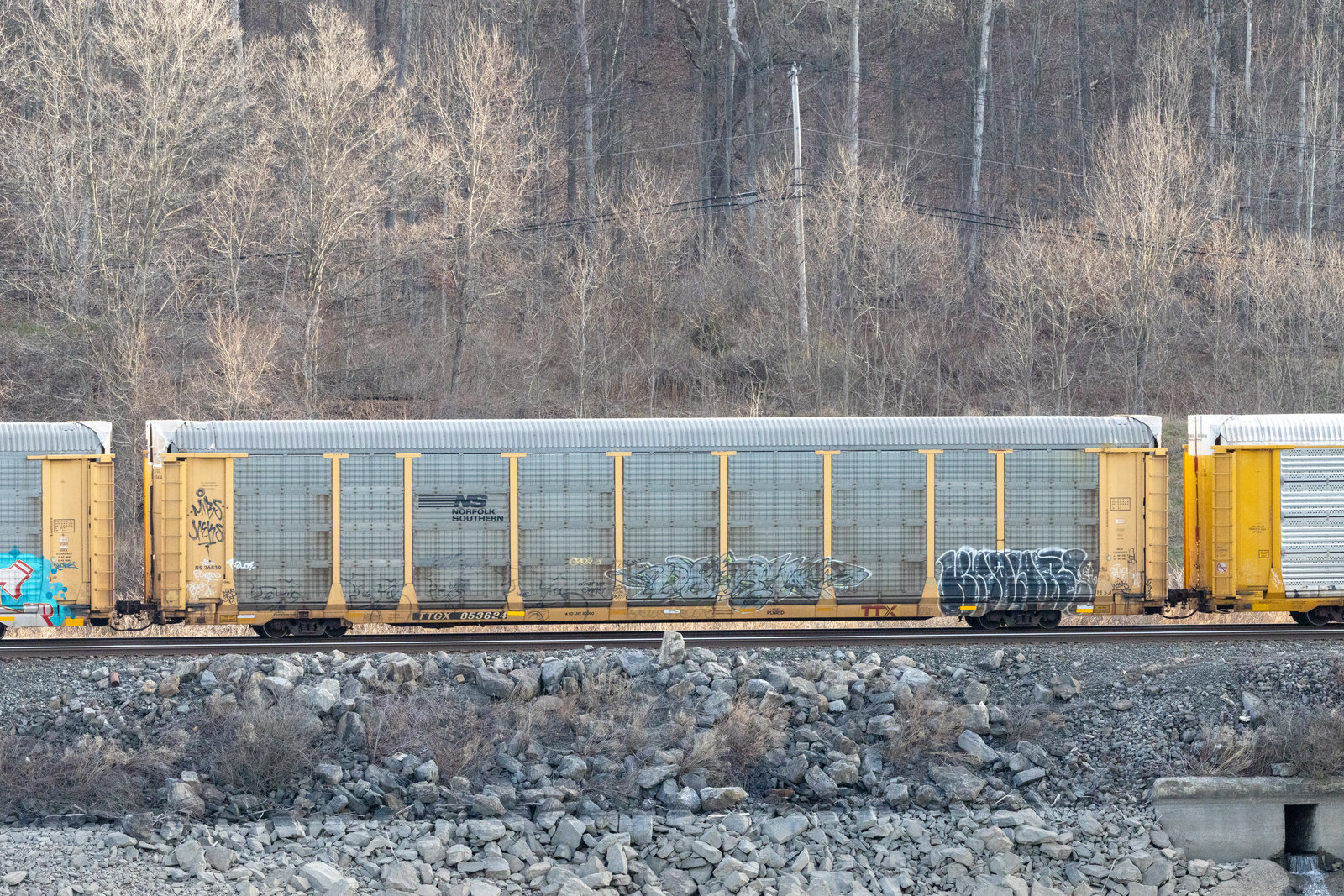 TTGX 853624