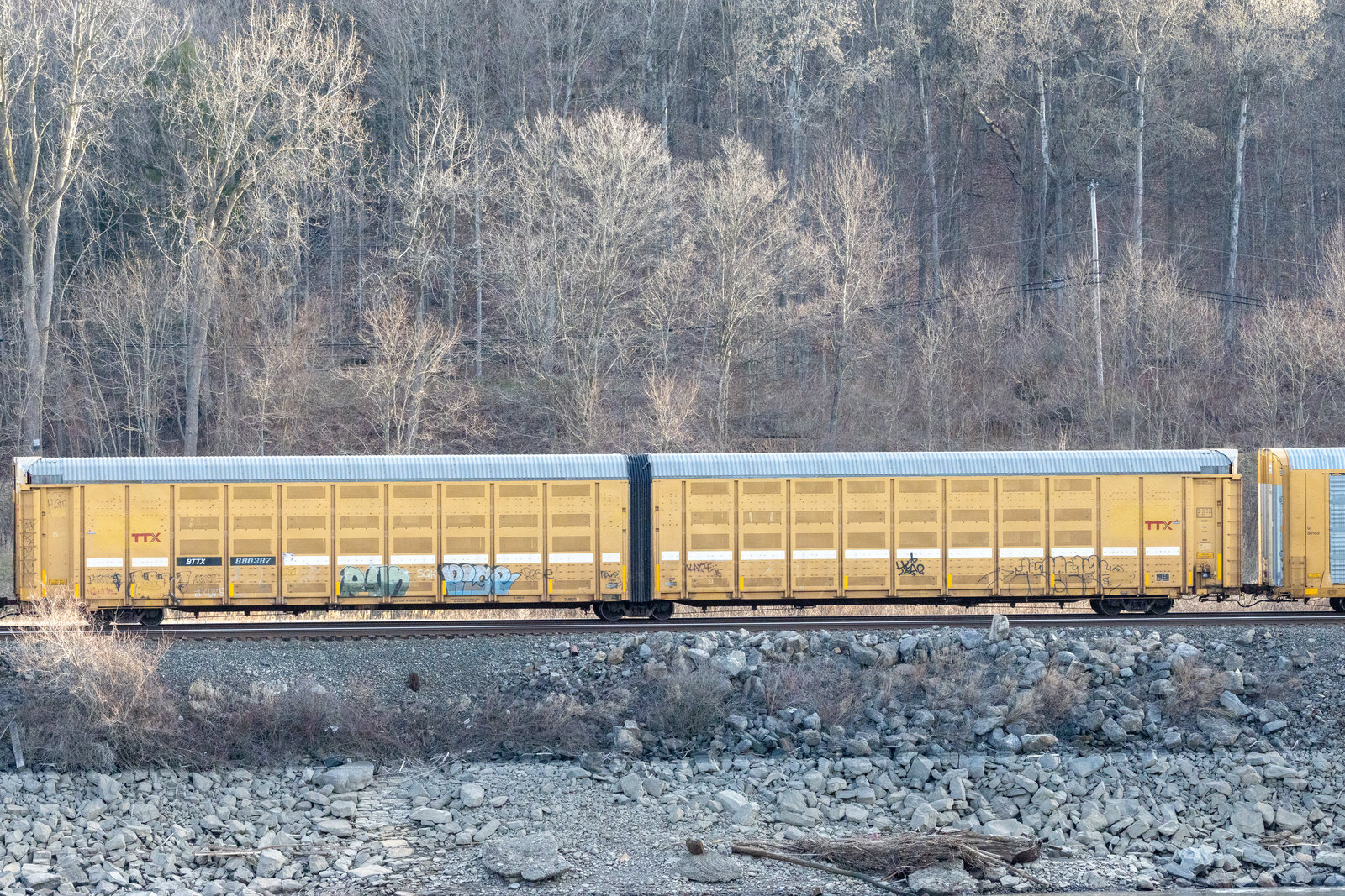 BTTX 880387