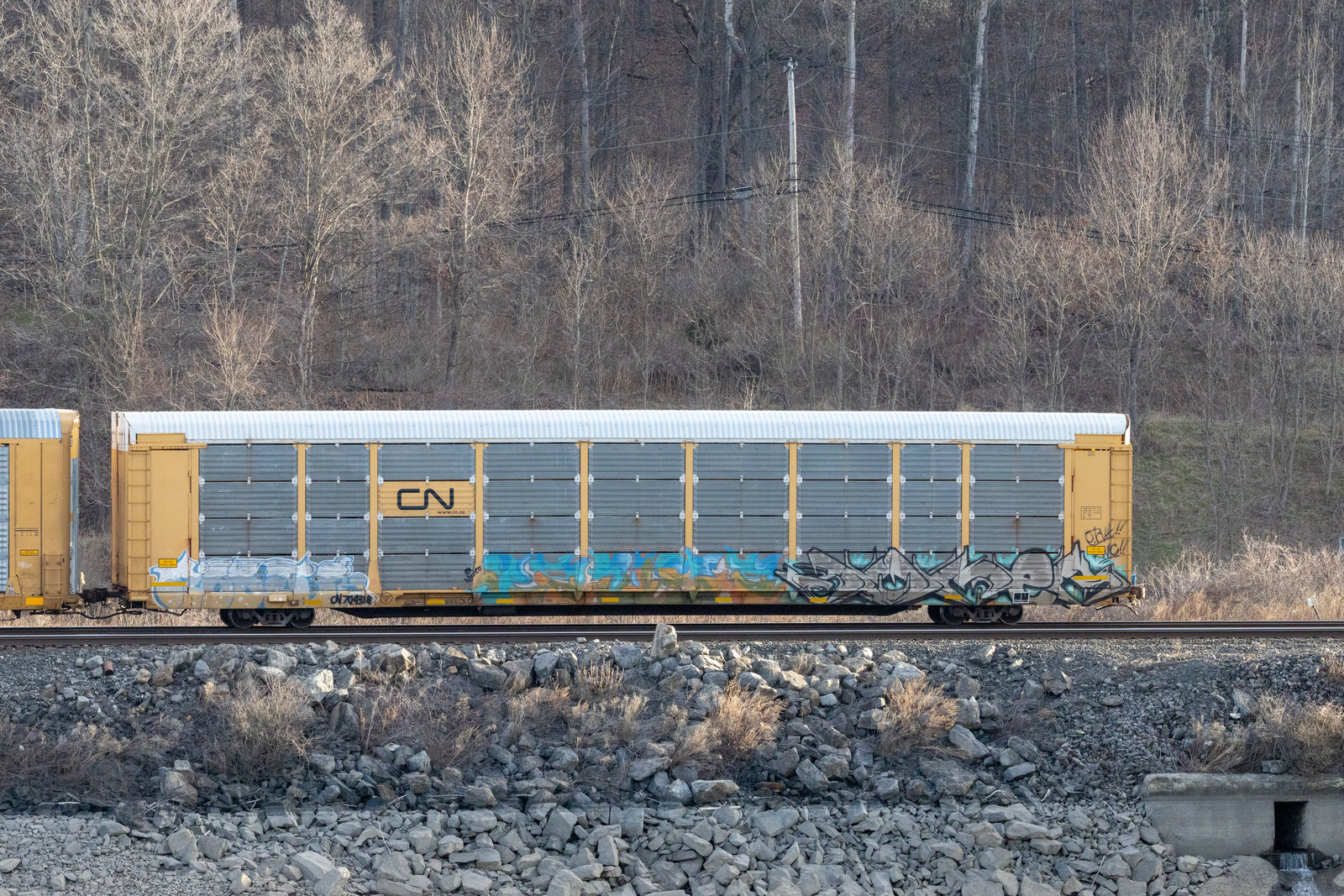 CN 704318