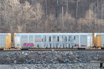 NKCR 9286