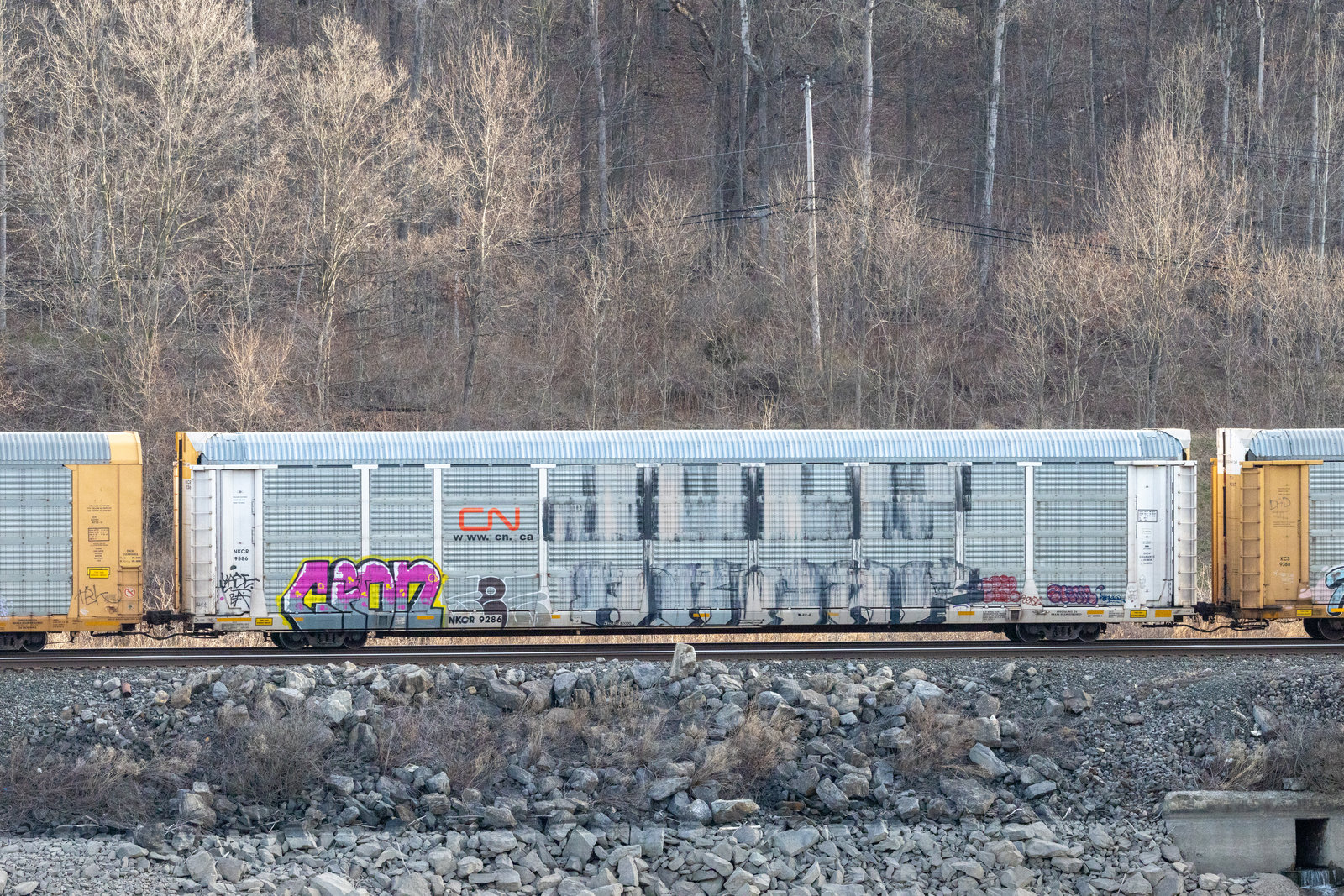 NKCR 9286