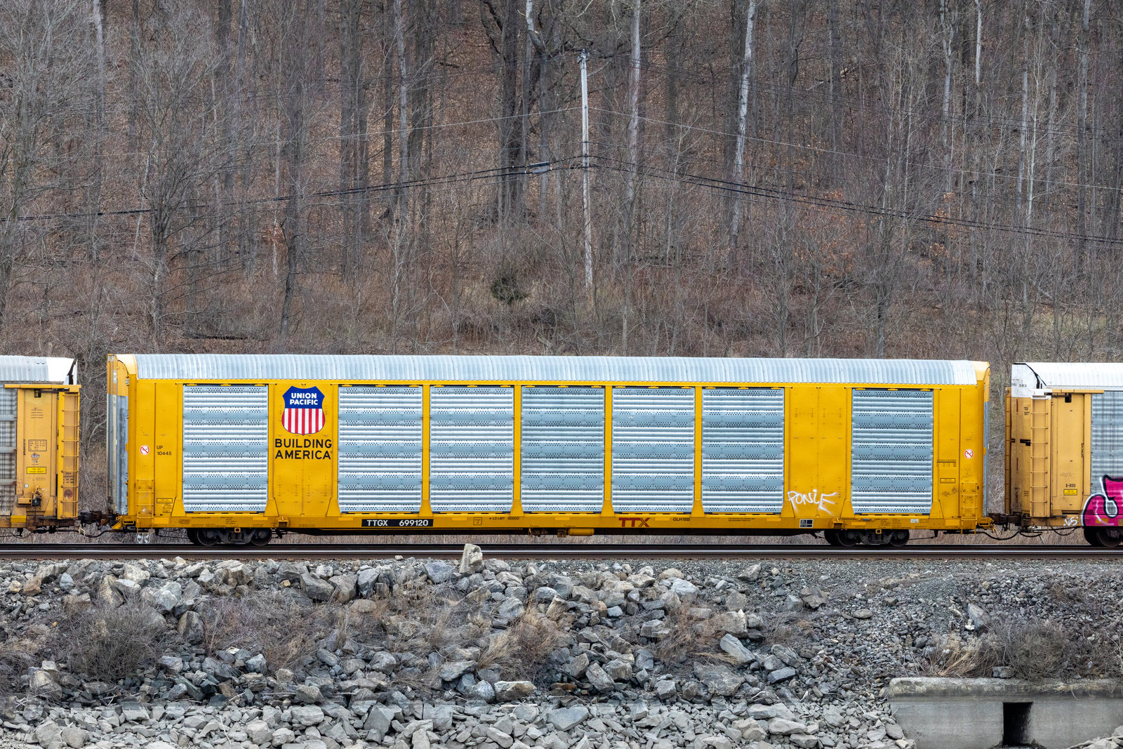 TTGX 699120