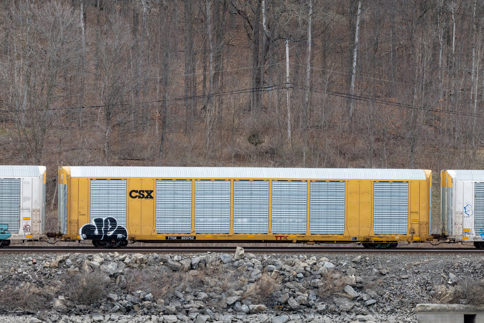 TTGX 823752
