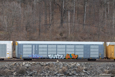 TTGX 825210