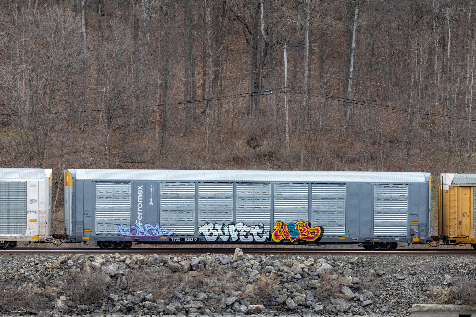 TTGX 825210