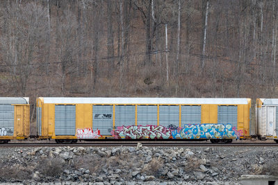 TTGX 997252