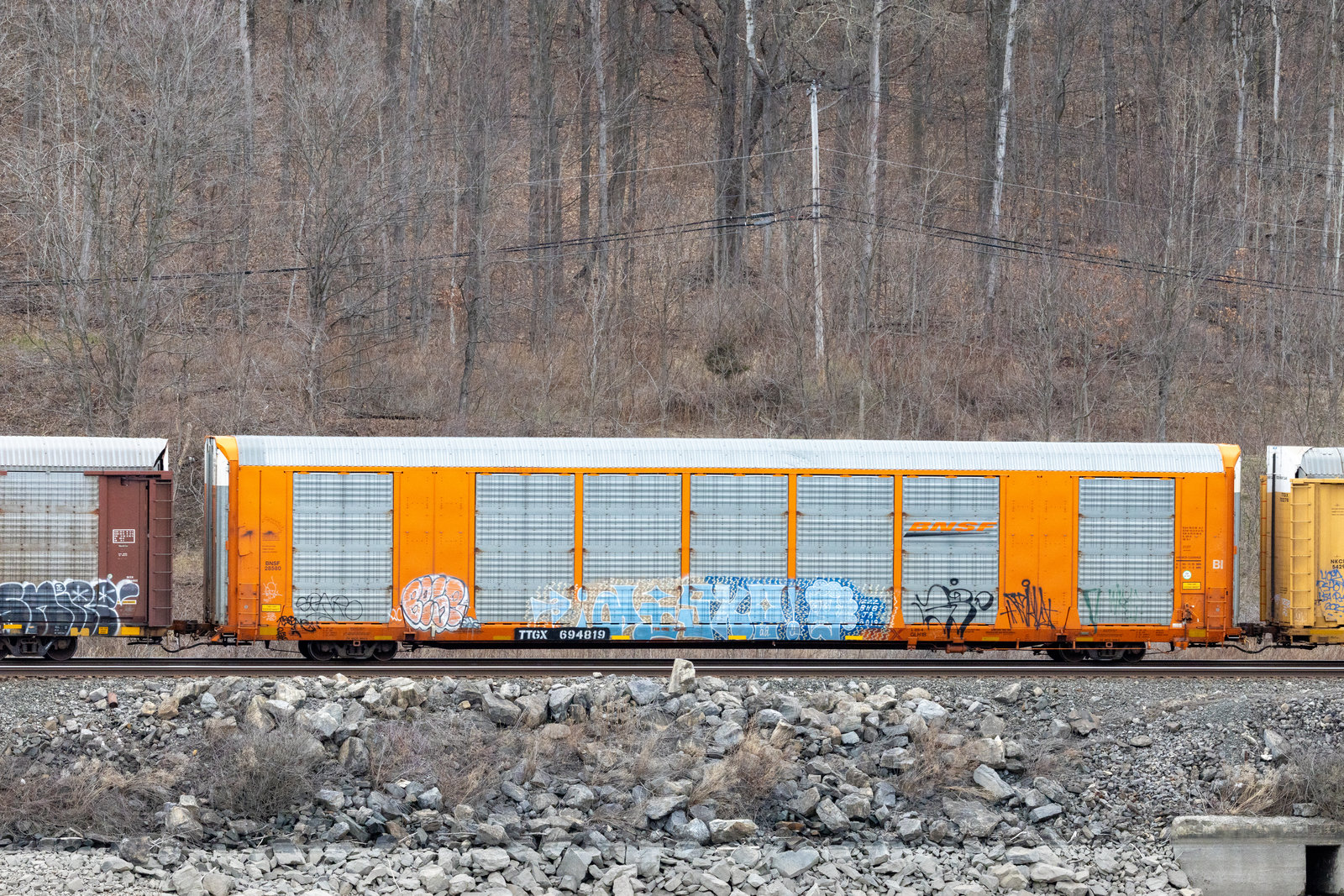 TTGX 694819
