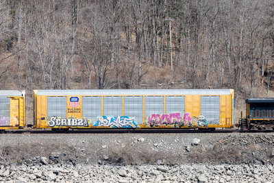 TTGX 697361