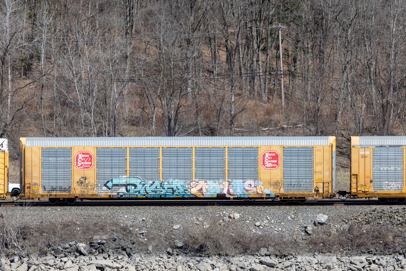 TTGX 695300