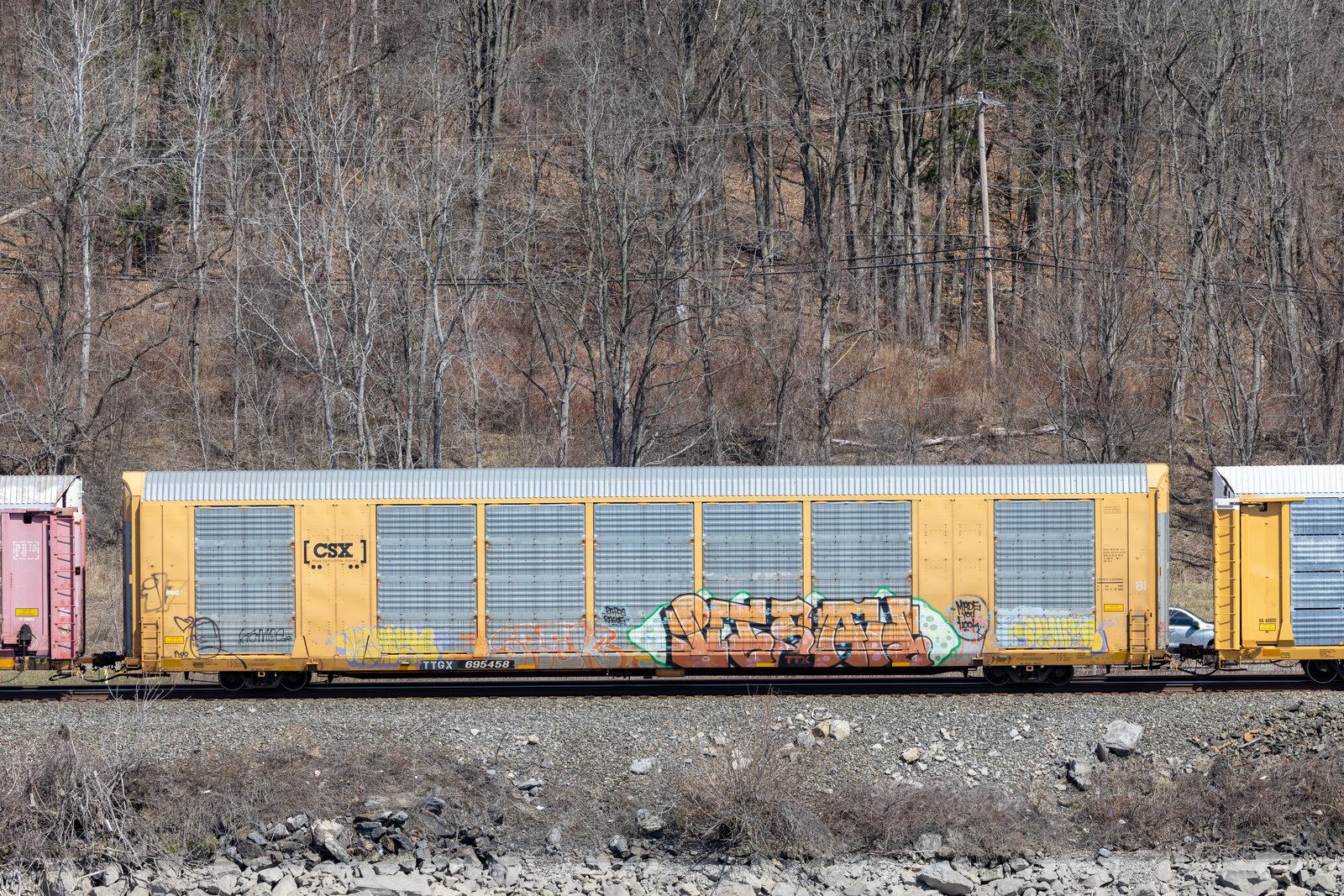 TTGX 695458