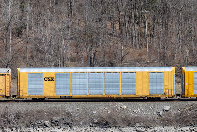 TTGX 825442