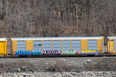 TTGX 823968