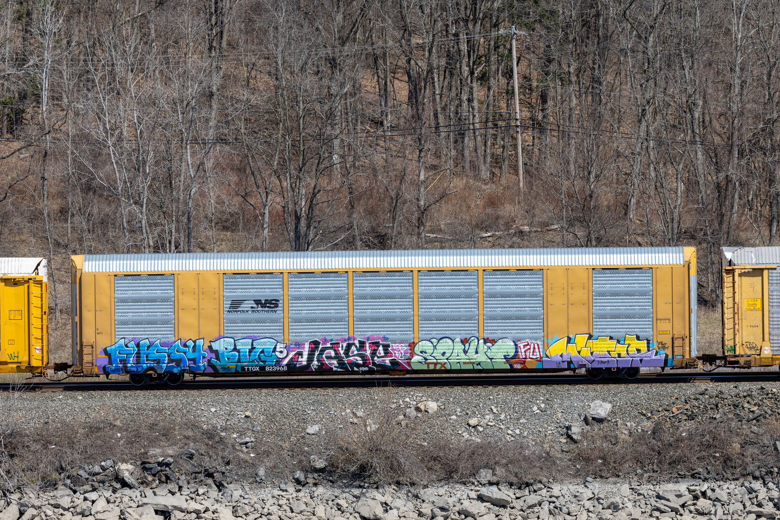TTGX 823968